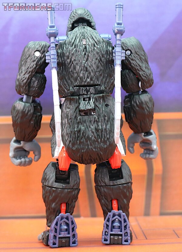 Transformers Kingdom Wave 1 Optimus Primal  (23 of 55)